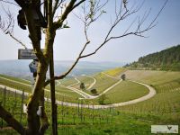 Ausblick_Thuengersheim_JA Ausblick_Thuengersheim_JA