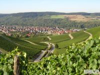 PanoramaWeinbergeThngersheim PanoramaWeinbergeThngersheim