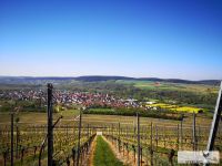 ZUP_RbTgh_image0019_JAbfalter_WZ ZUP_RbTgh_image0019_JAbfalter_WZ