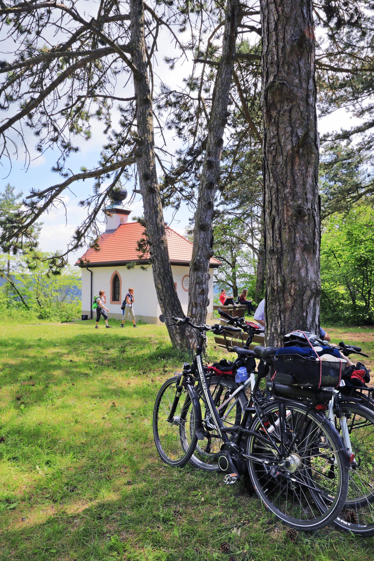 Grunert Held FahrradKaeppele k